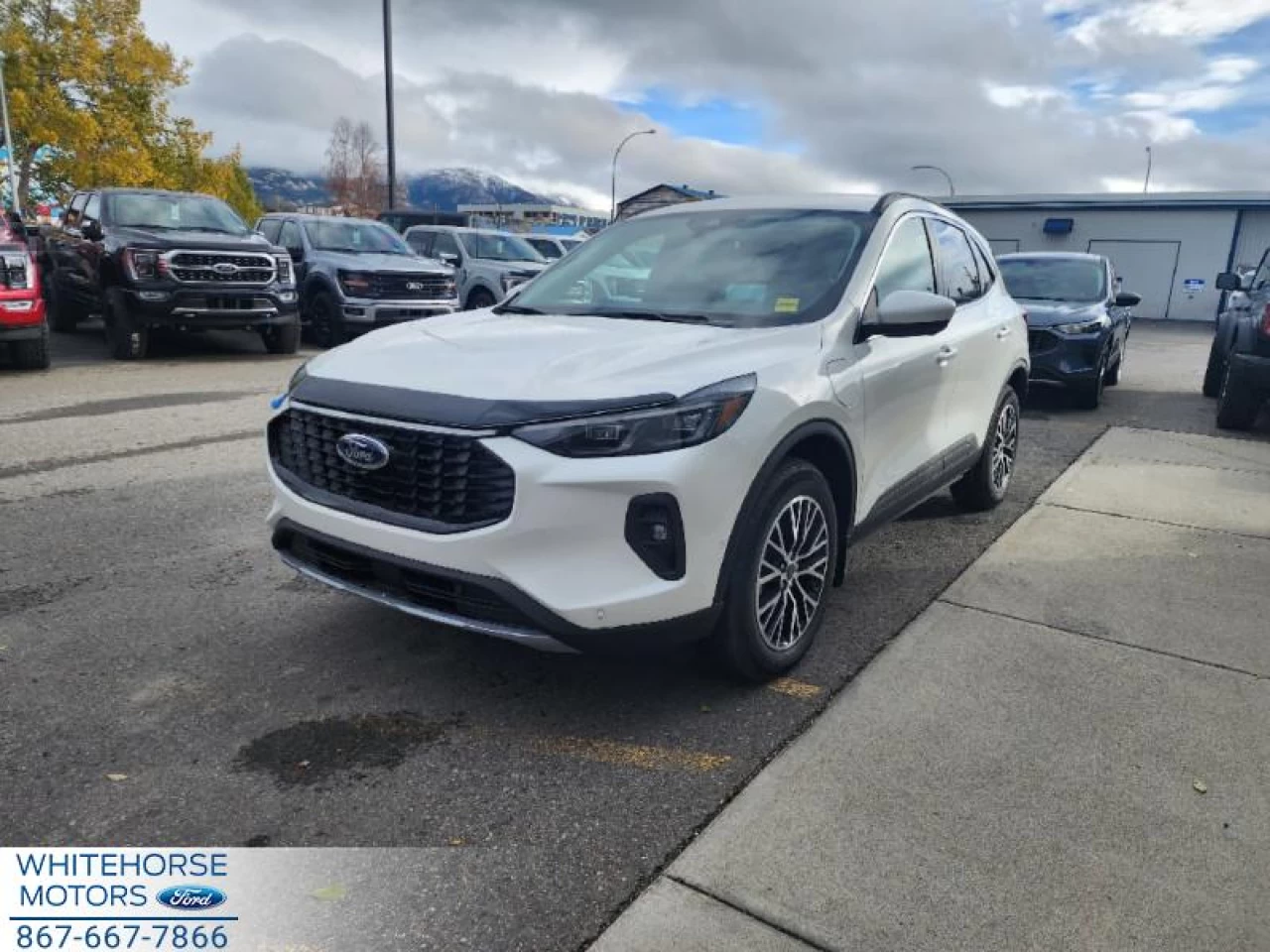 2024 Ford Escape PHEV Main Image