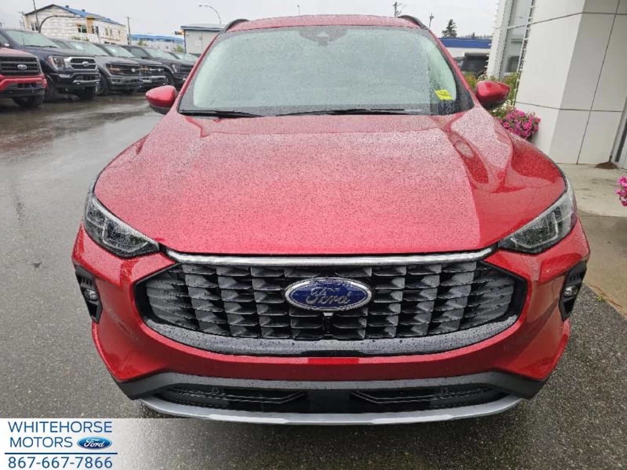2024 Ford Escape PHEV Main Image