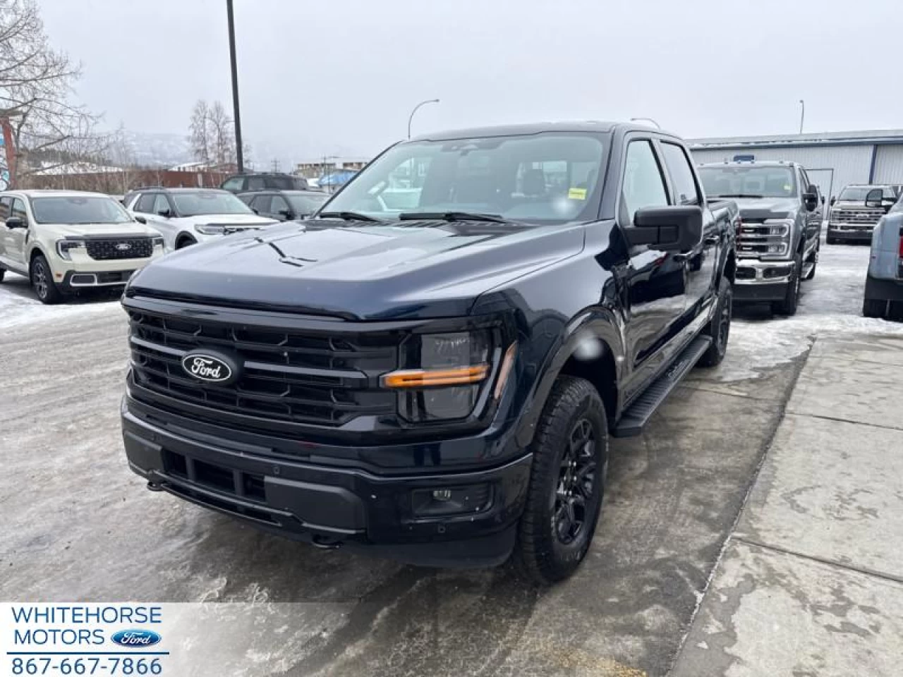 2025 Ford F-150 XLT Main Image