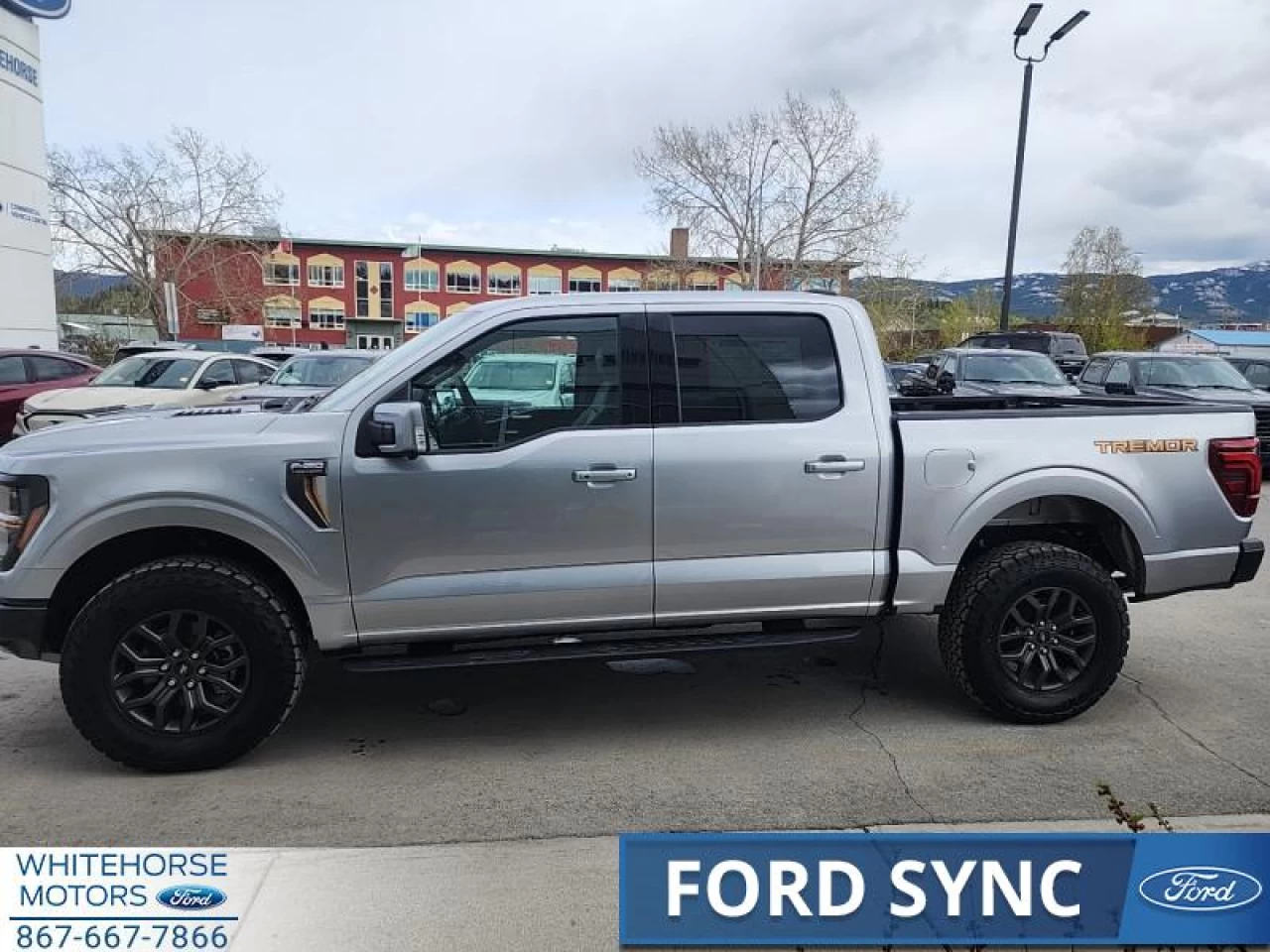 2025 Ford F-150 Tremor Main Image