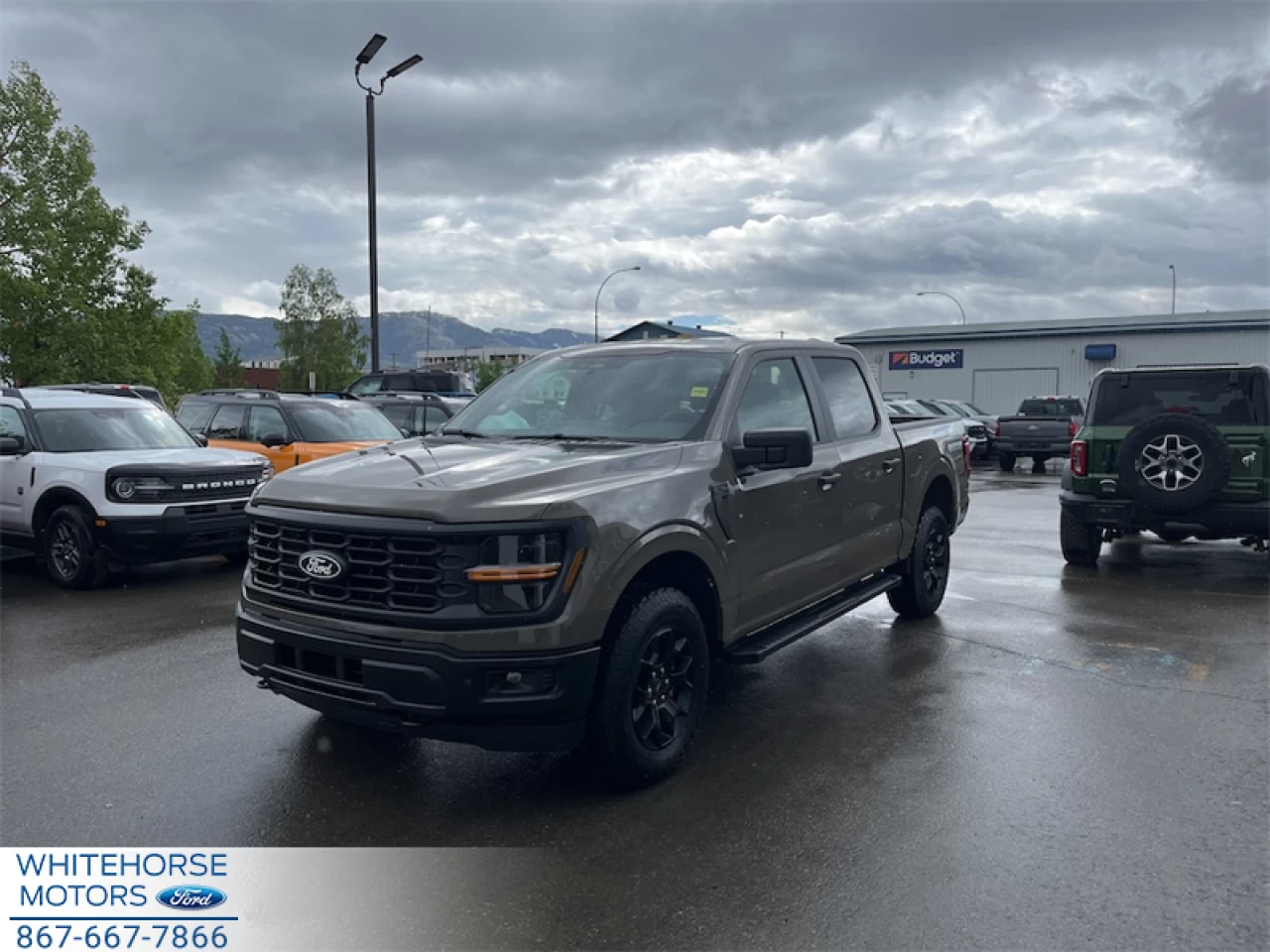 2026 Ford F-150 STX Main Image
