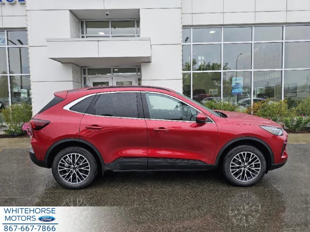 2024 Ford Escape PHEV Main Image