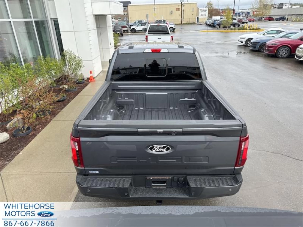 2025 Ford F-150 XLT Main Image