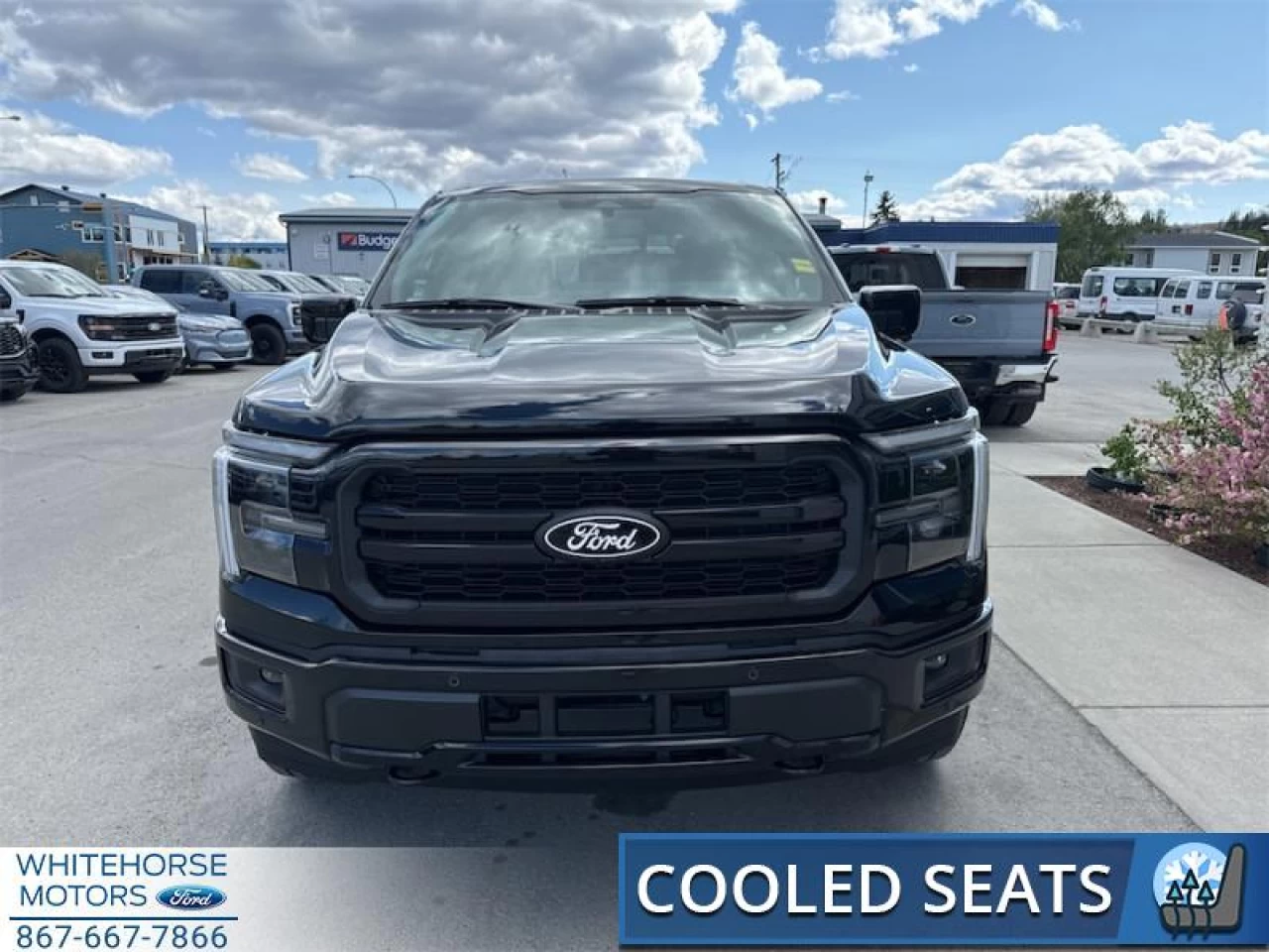 2025 Ford F-150 Lariat Main Image
