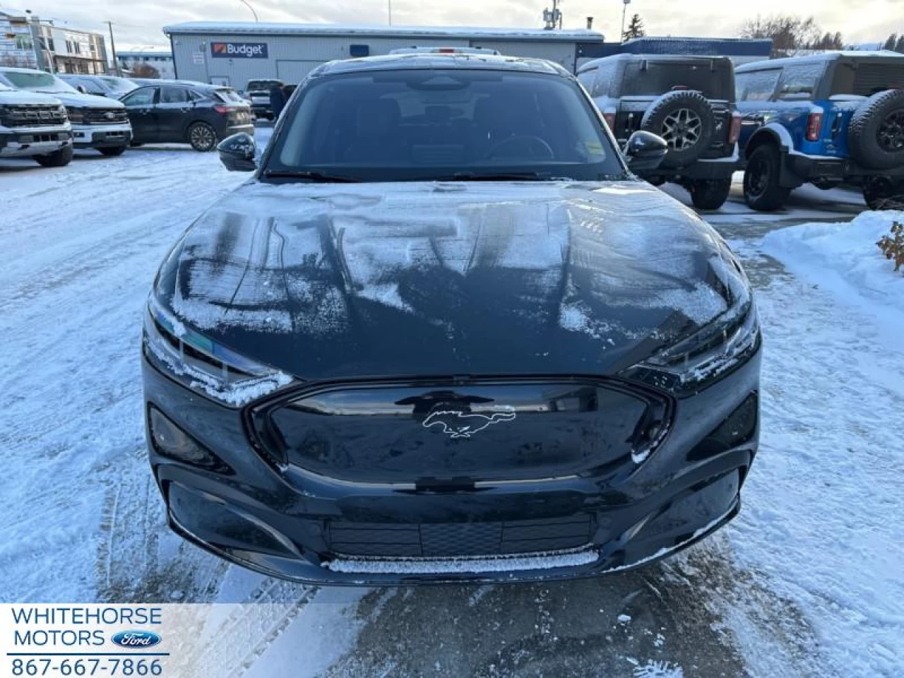 2024 Ford Mustang Mach-E Premium Extended Range Image principale