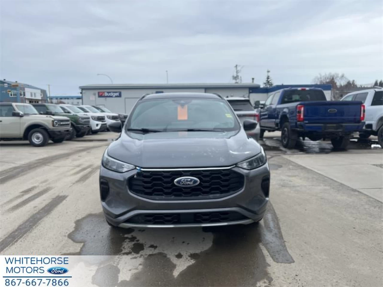 2023 Ford Escape ST-Line AWD Main Image