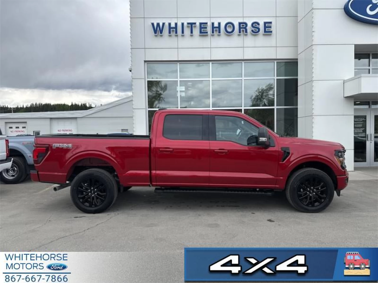 2025 Ford F-150 XLT Main Image