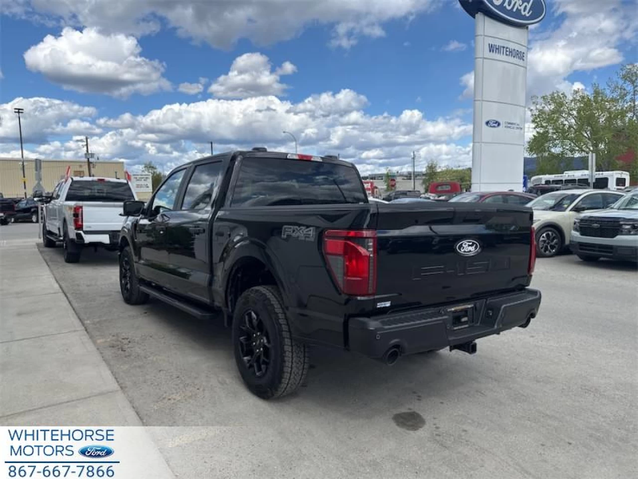 2025 Ford F-150 STX Main Image