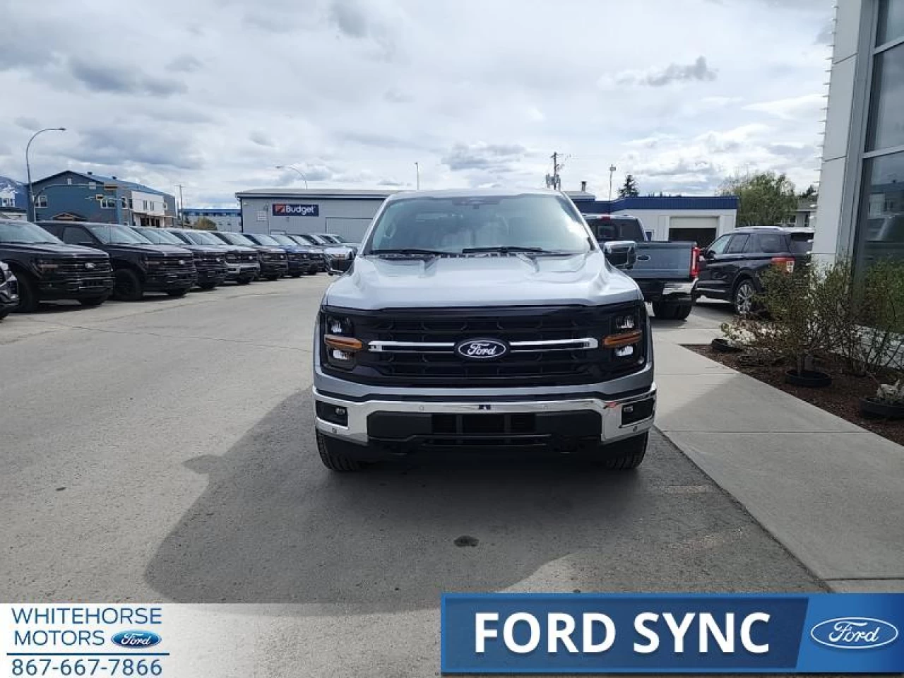 2025 Ford F-150 XLT Main Image