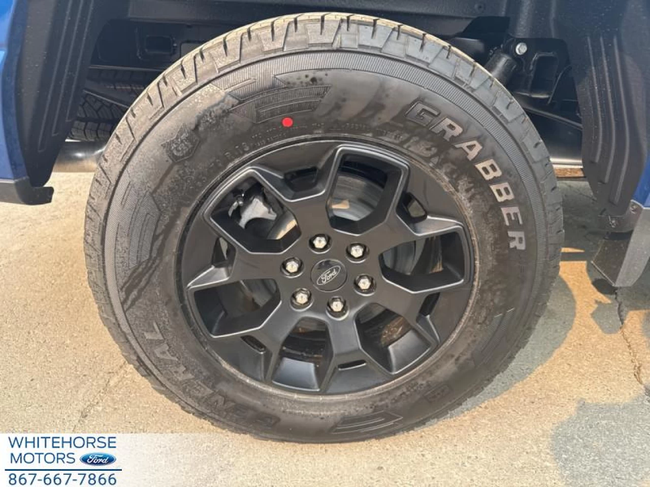 2025 Ford F-150 STX Main Image