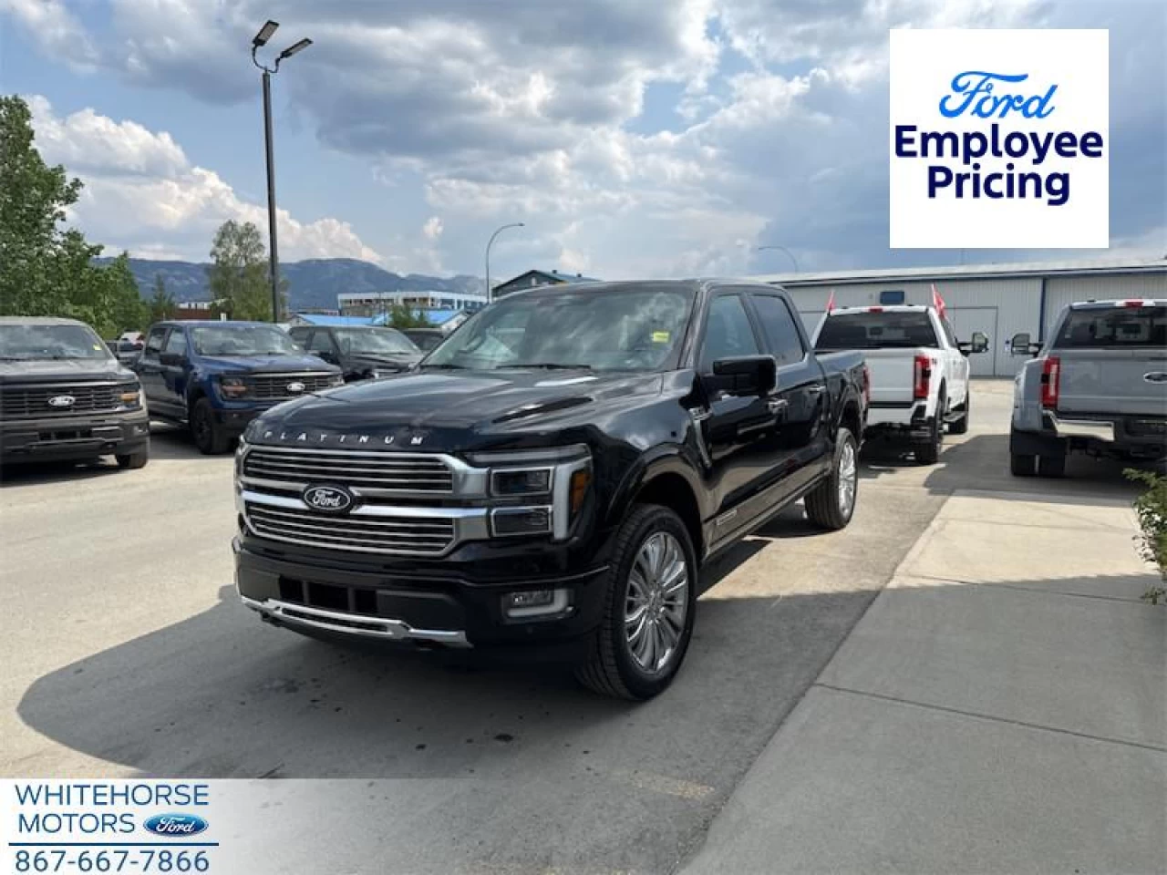 2025 Ford F-150 Platinum Main Image