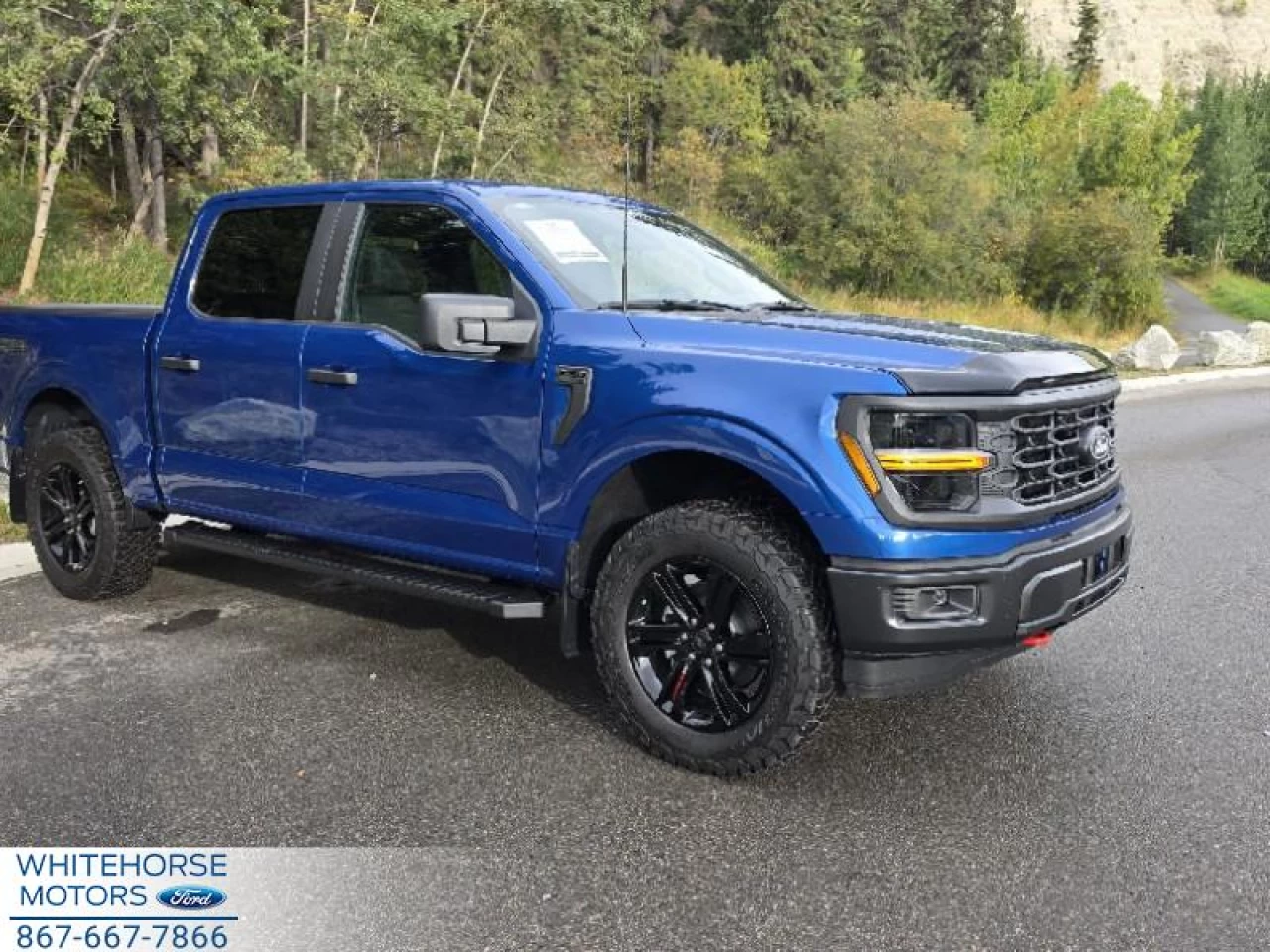 2025 Ford F-150 STX Main Image