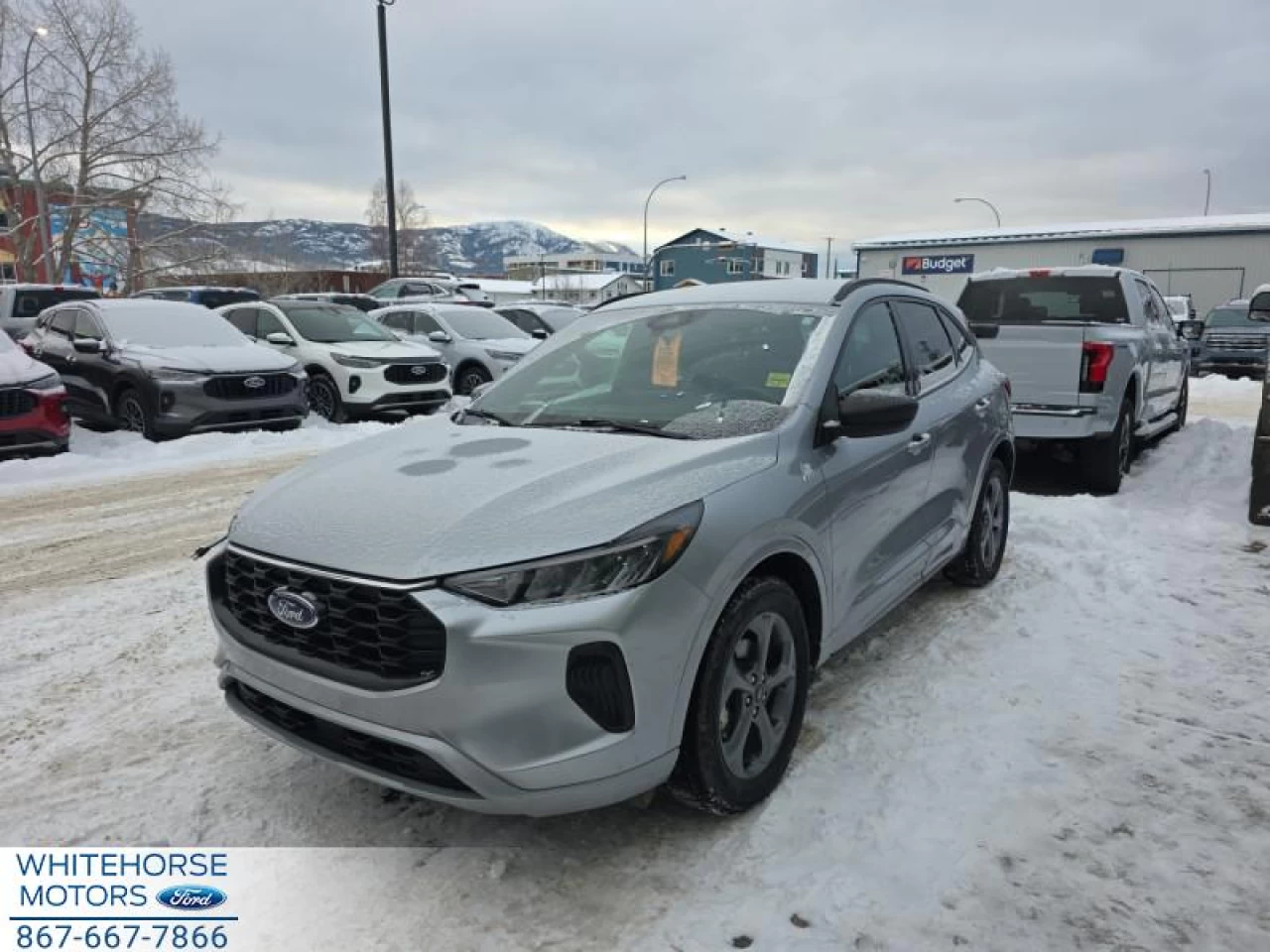 2023 Ford Escape ST-Line AWD Main Image