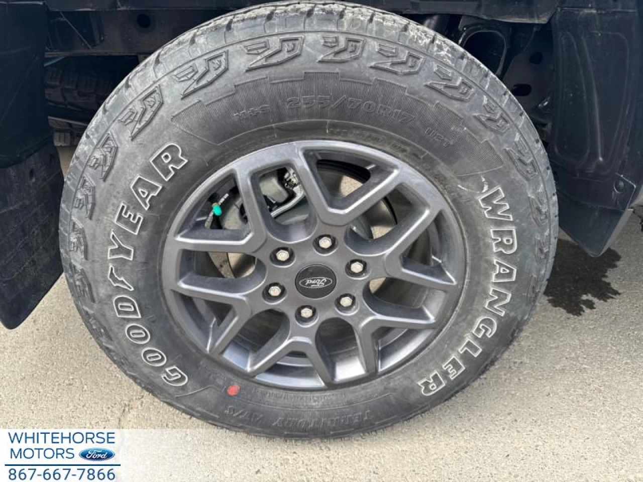 2024 Ford Ranger XLT Main Image