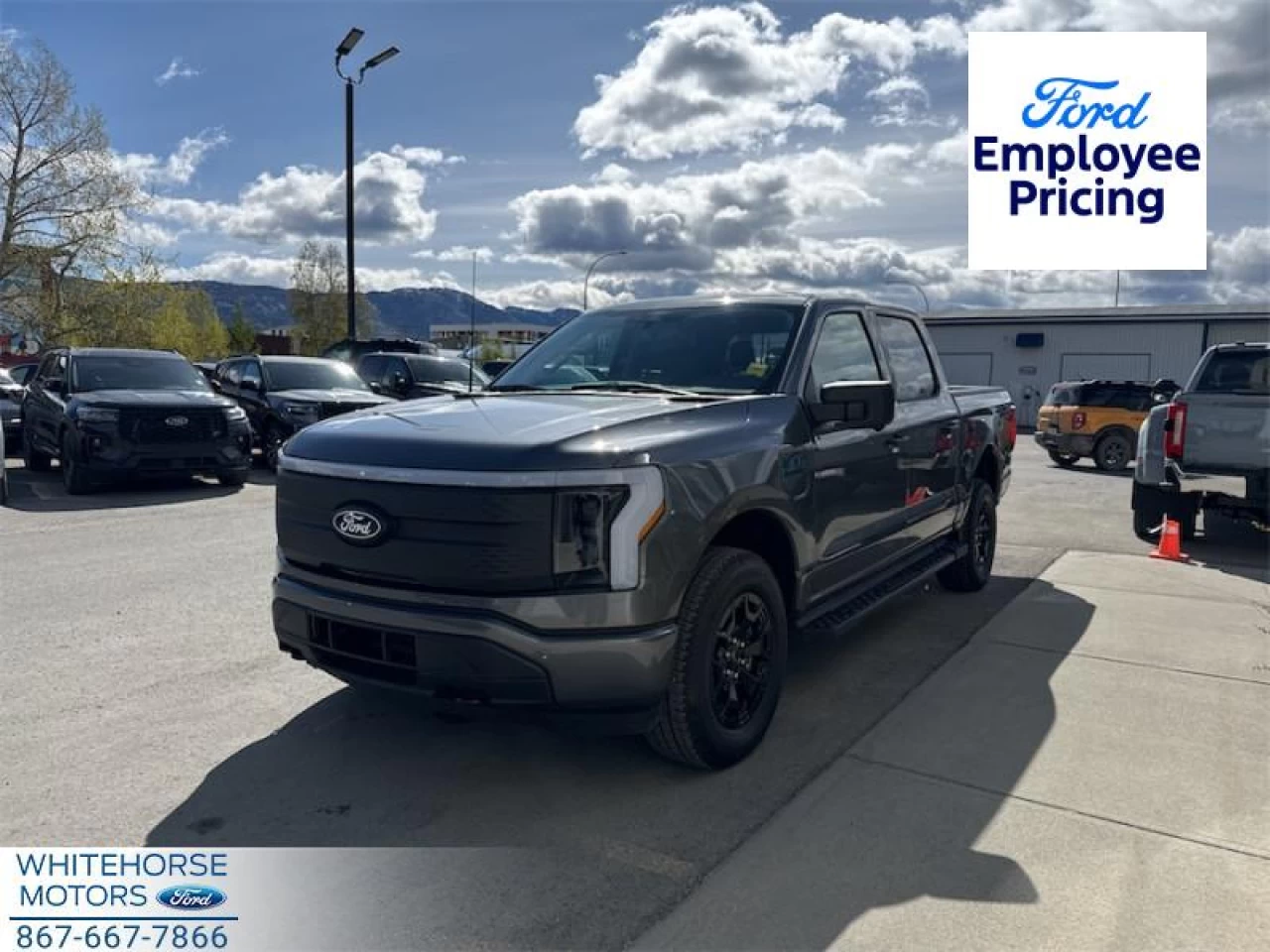 2025 Ford F-150 Lightning XLT Main Image