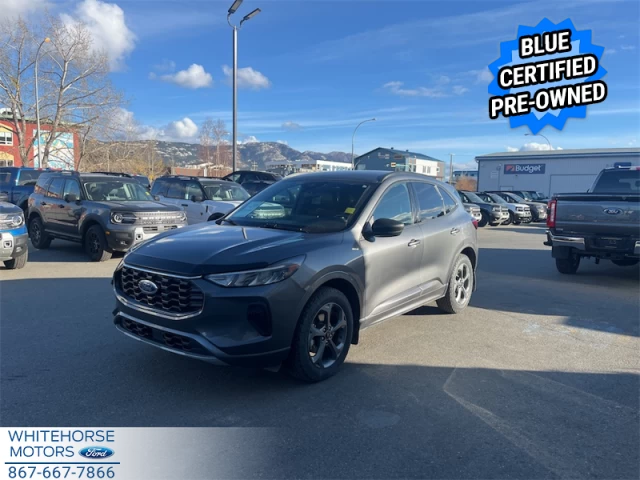 Ford Escape ST-Line 2024