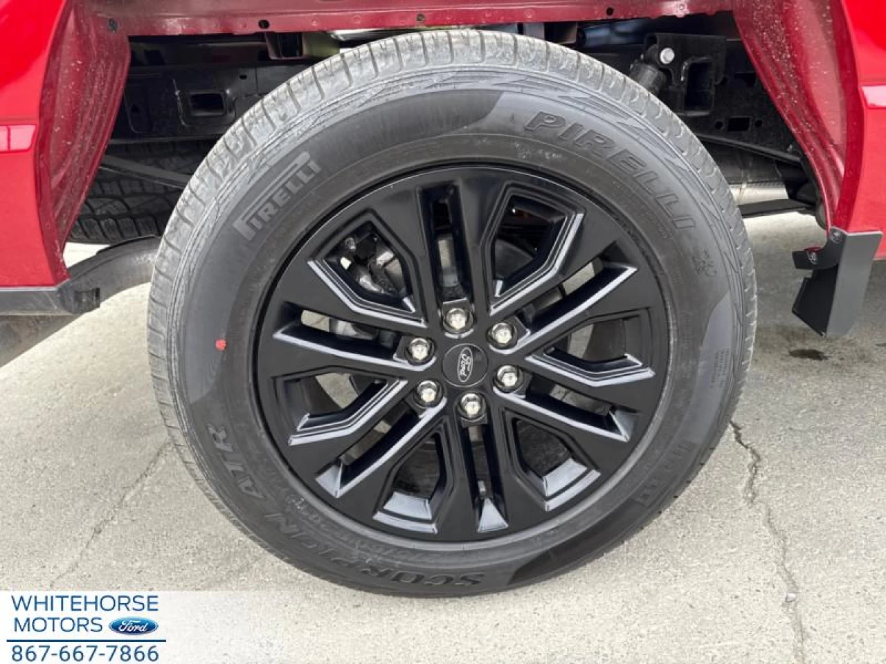 2025 Ford F-150 XLT Main Image