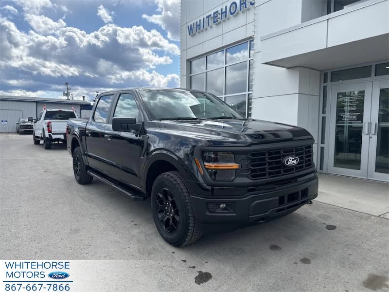 2025 Ford F-150 STX Main Image
