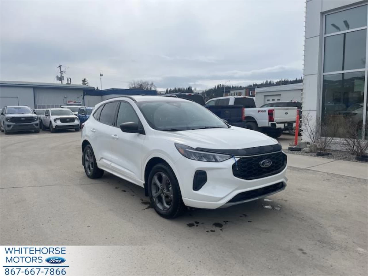 2024 Ford Escape ST-Line Main Image