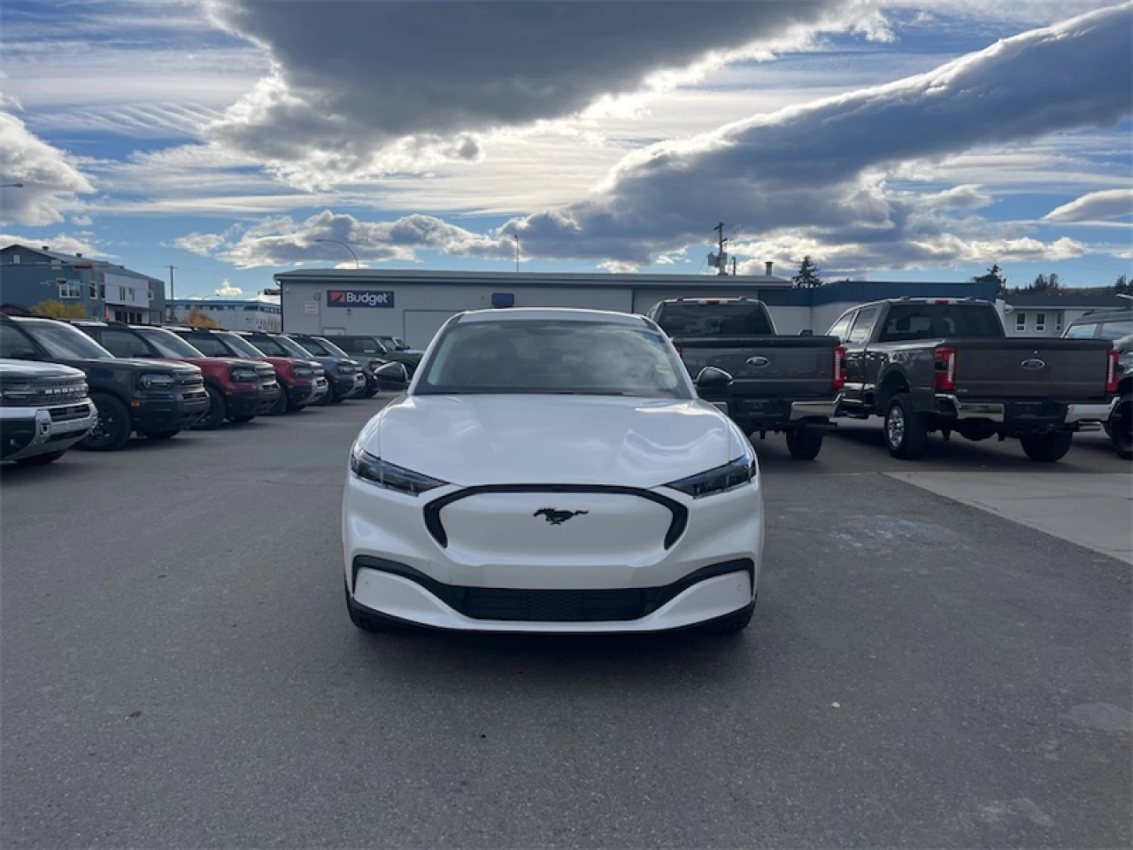 2026 Ford Mustang Mach-E Premium AWD Main Image