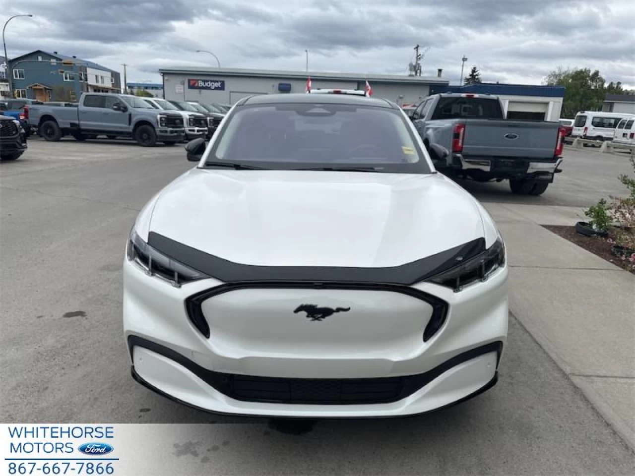 2024 Ford Mustang Mach-E Premium AWD Main Image