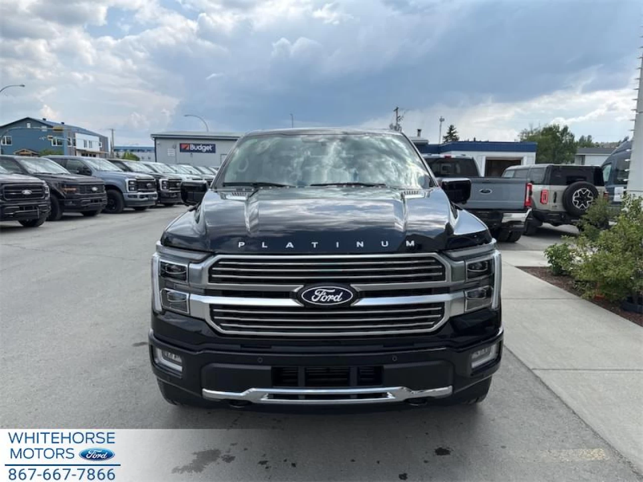 2025 Ford F-150 Platinum Main Image