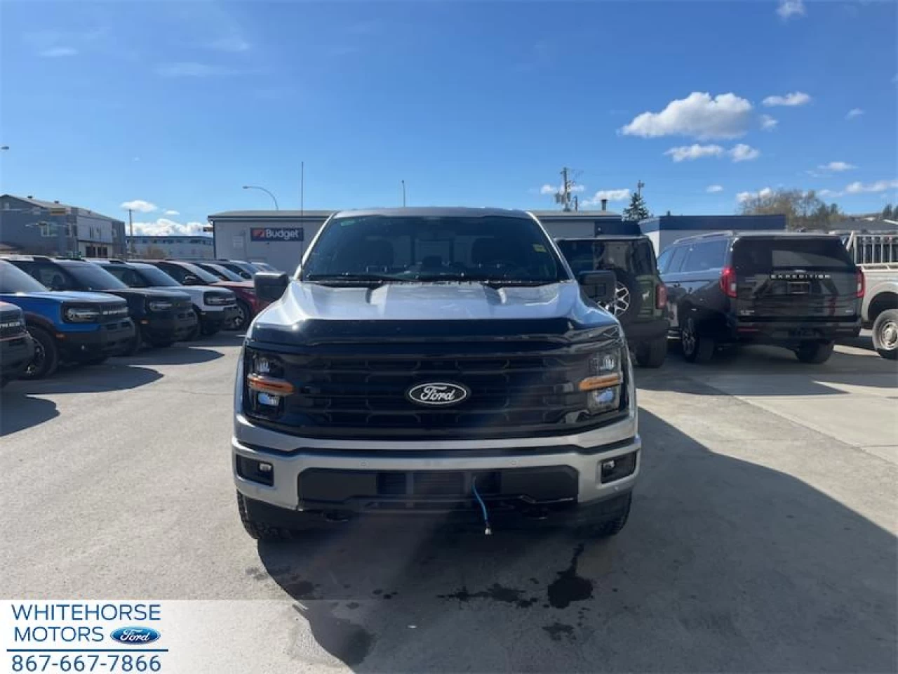 2026 Ford F-150 XLT Main Image