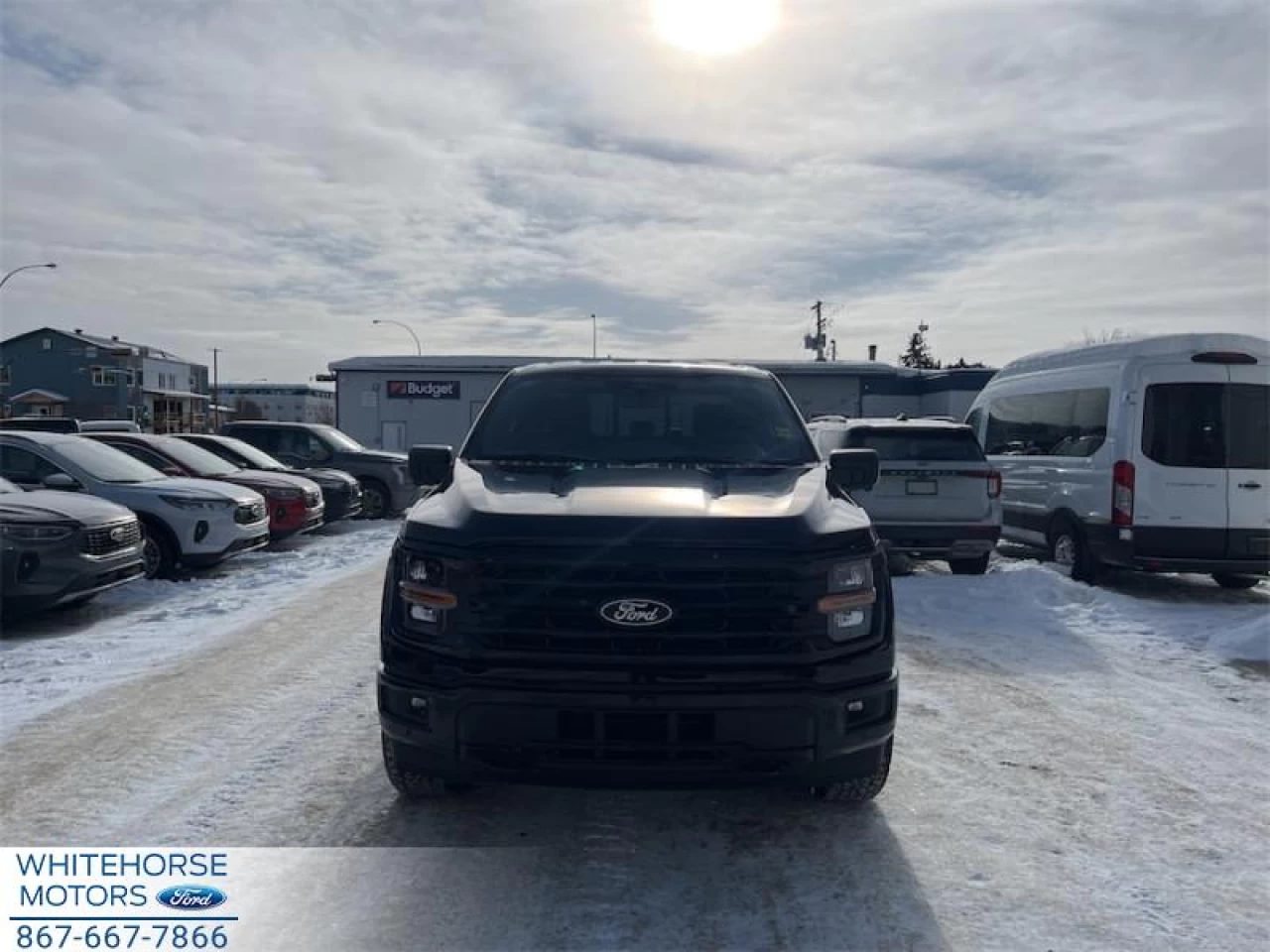 2026 Ford F-150 XLT Main Image