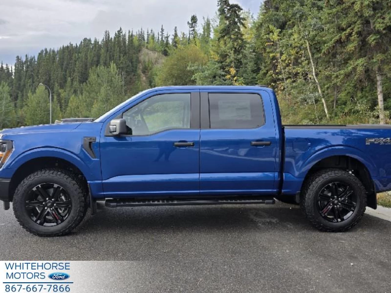 2025 Ford F-150 STX Main Image