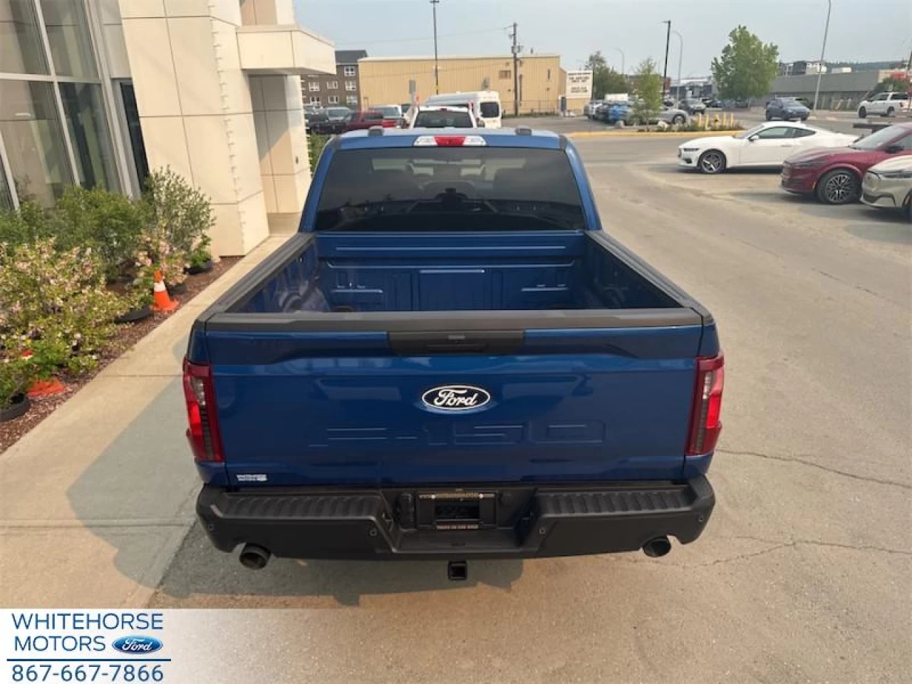 2025 Ford F-150 STX Main Image