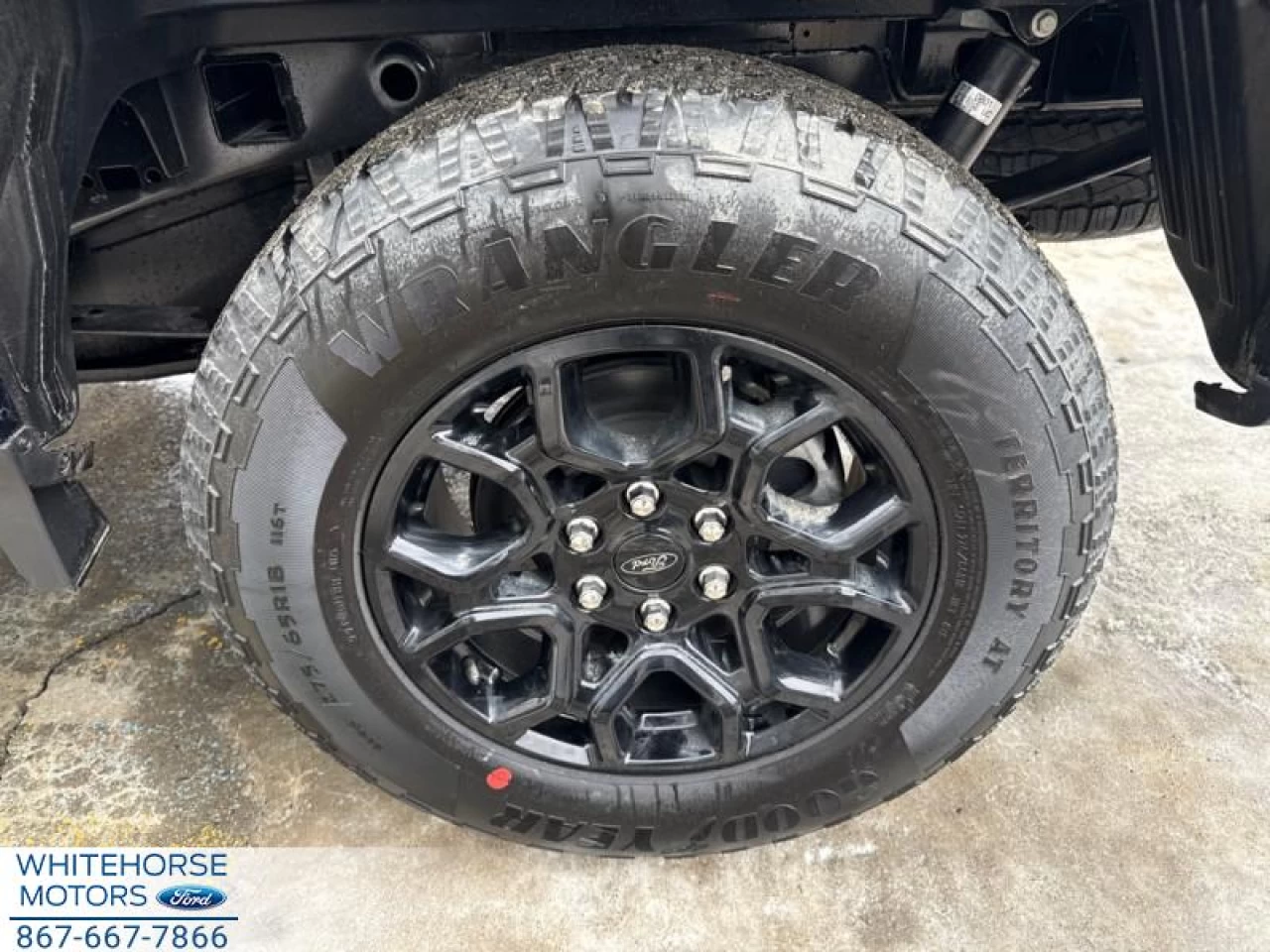 2025 Ford F-150 XLT Main Image
