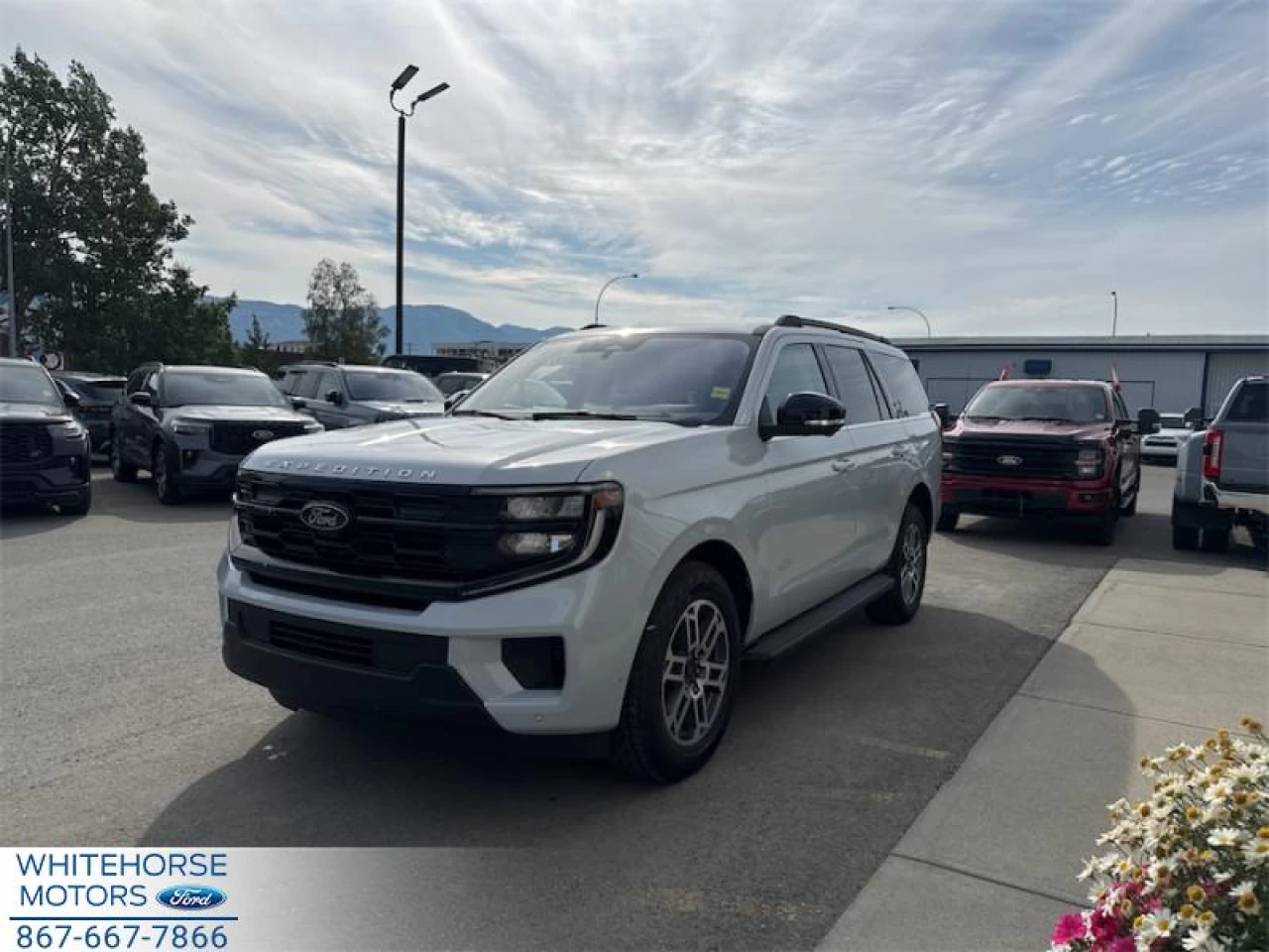 2025 Ford Expedition Active Main Image
