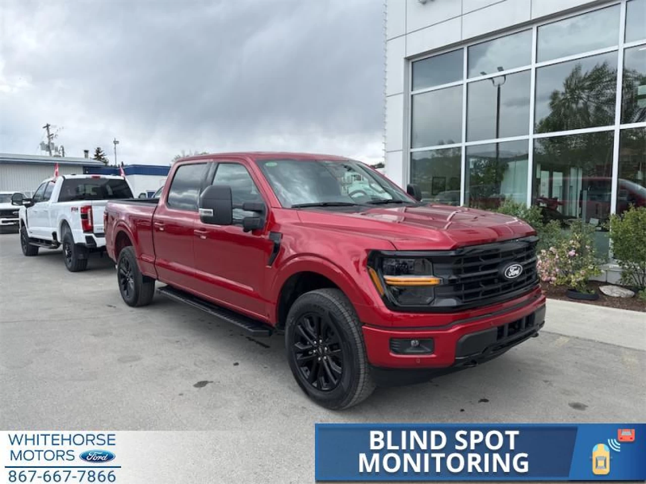 2025 Ford F-150 XLT Main Image