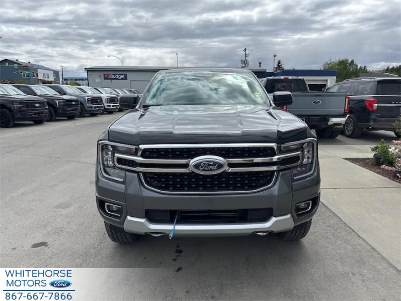 2024 Ford Ranger XLT Main Image