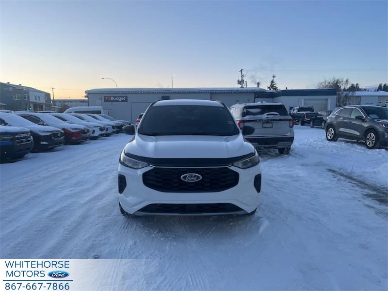 2024 Ford Escape ST-Line Main Image