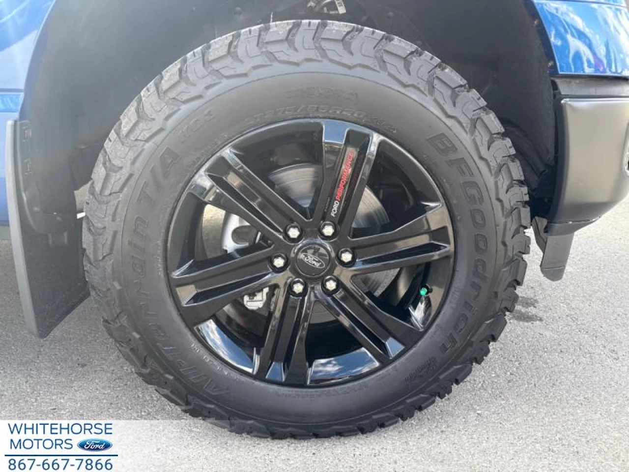 2025 Ford F-150 STX Main Image