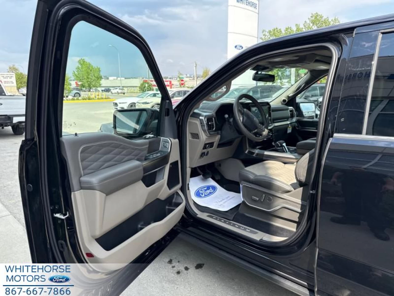 2025 Ford F-150 Platinum Main Image