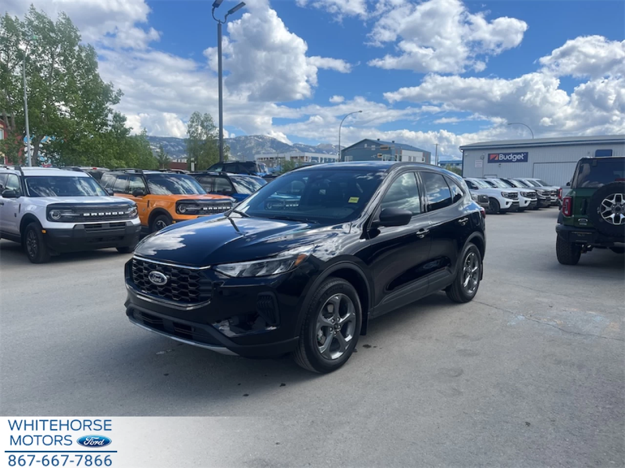 2026 Ford Escape ST-Line Image principale