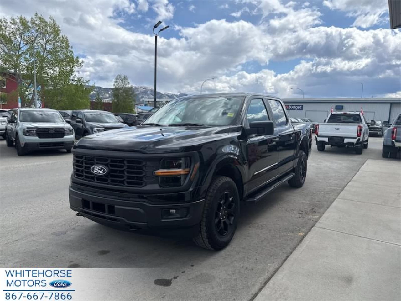 2025 Ford F-150 STX Main Image