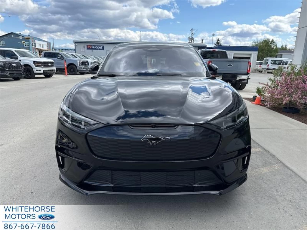 2024 Ford Mustang Mach-E GT Main Image