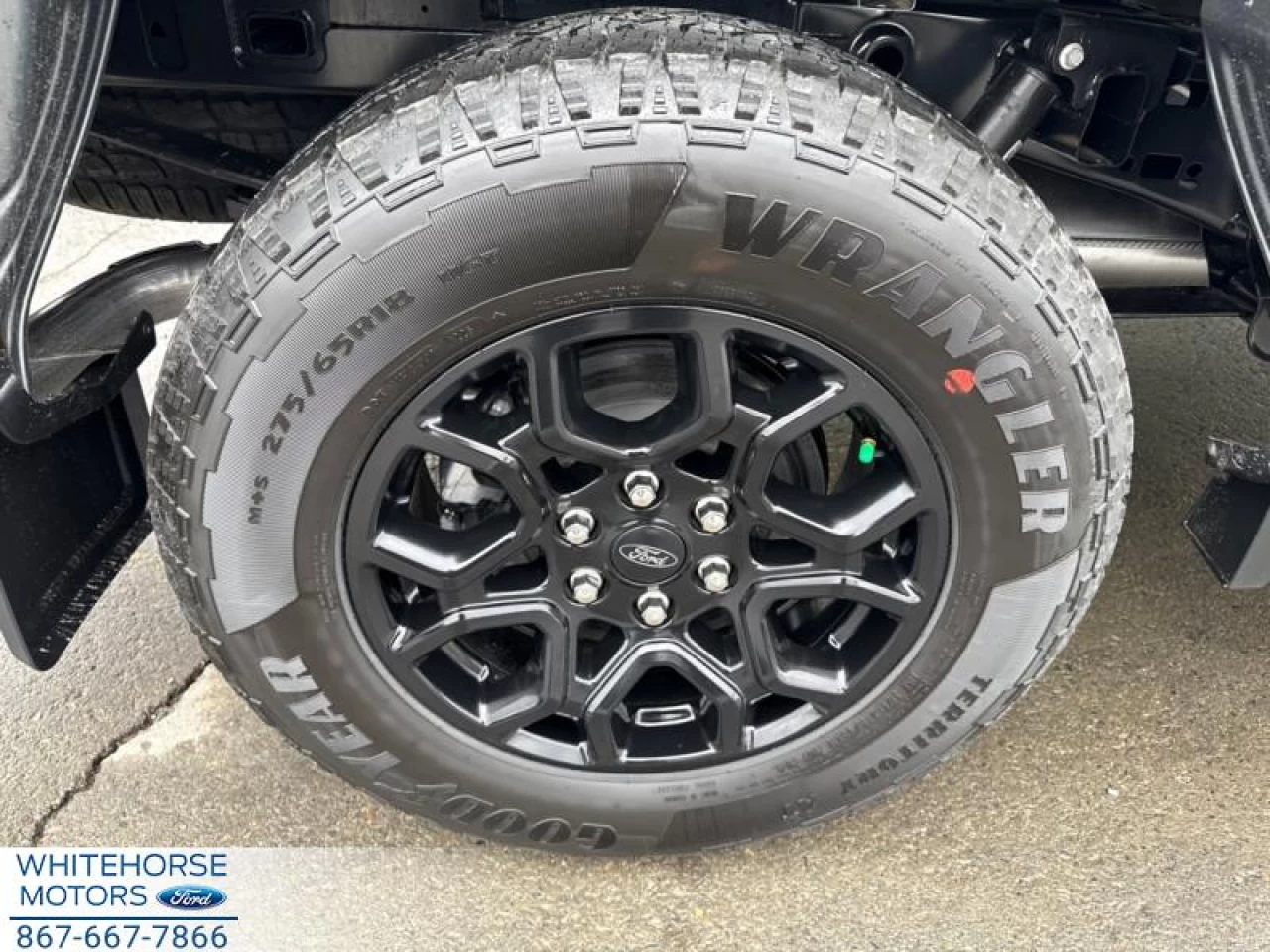 2025 Ford F-150 XLT Main Image