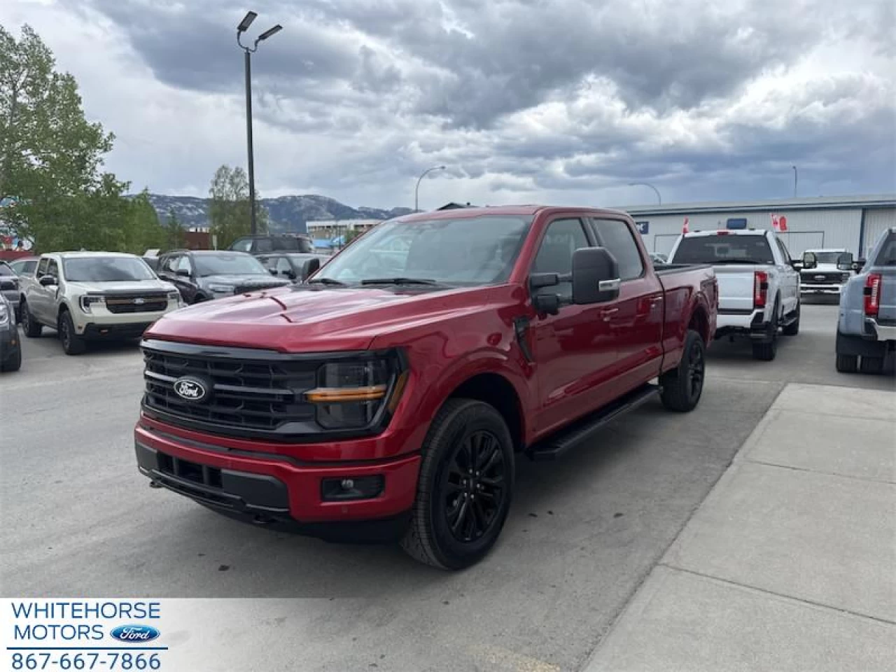 2025 Ford F-150 XLT Main Image
