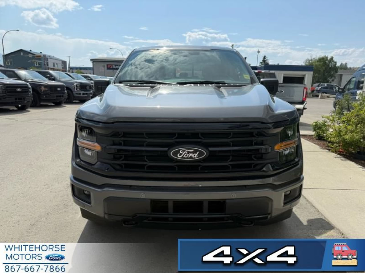 2025 Ford F-150 XLT Main Image