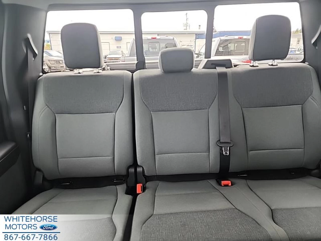 2025 Ford F-150 XLT Main Image