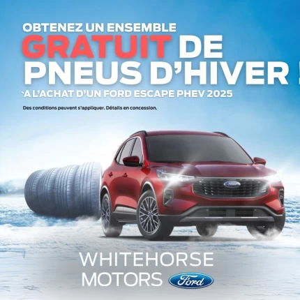 Pneus D'hiver