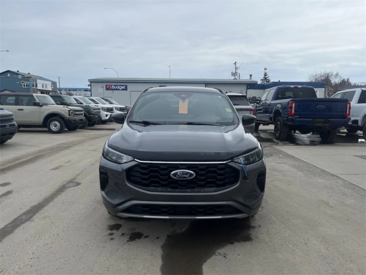 2023 Ford Escape ST-Line AWD Main Image