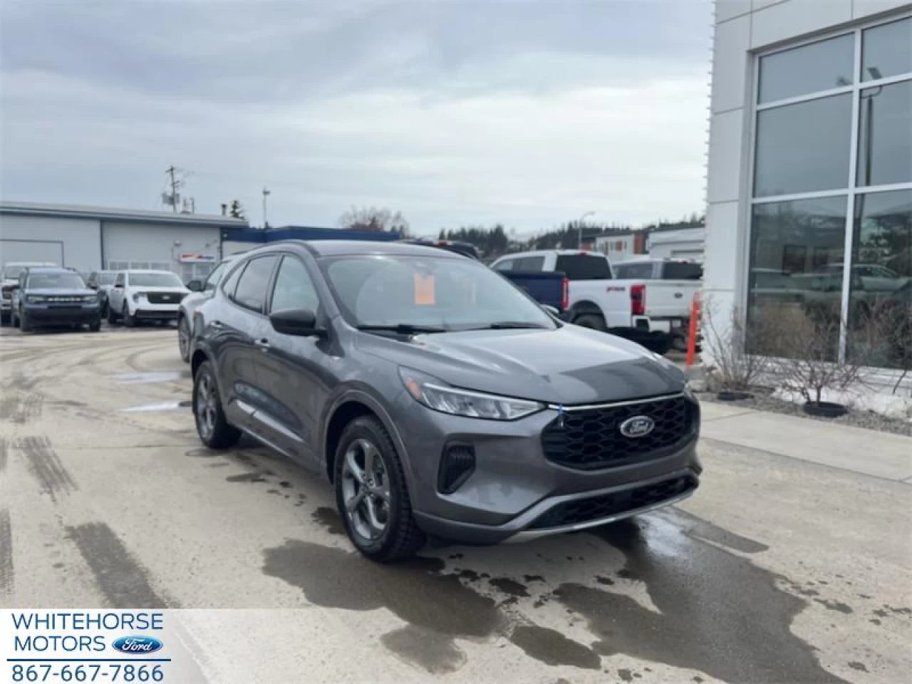 2023 Ford Escape ST-Line AWD Main Image