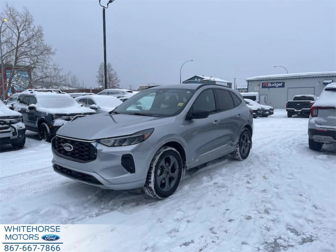 2024 Ford Escape ST-Line Main Image