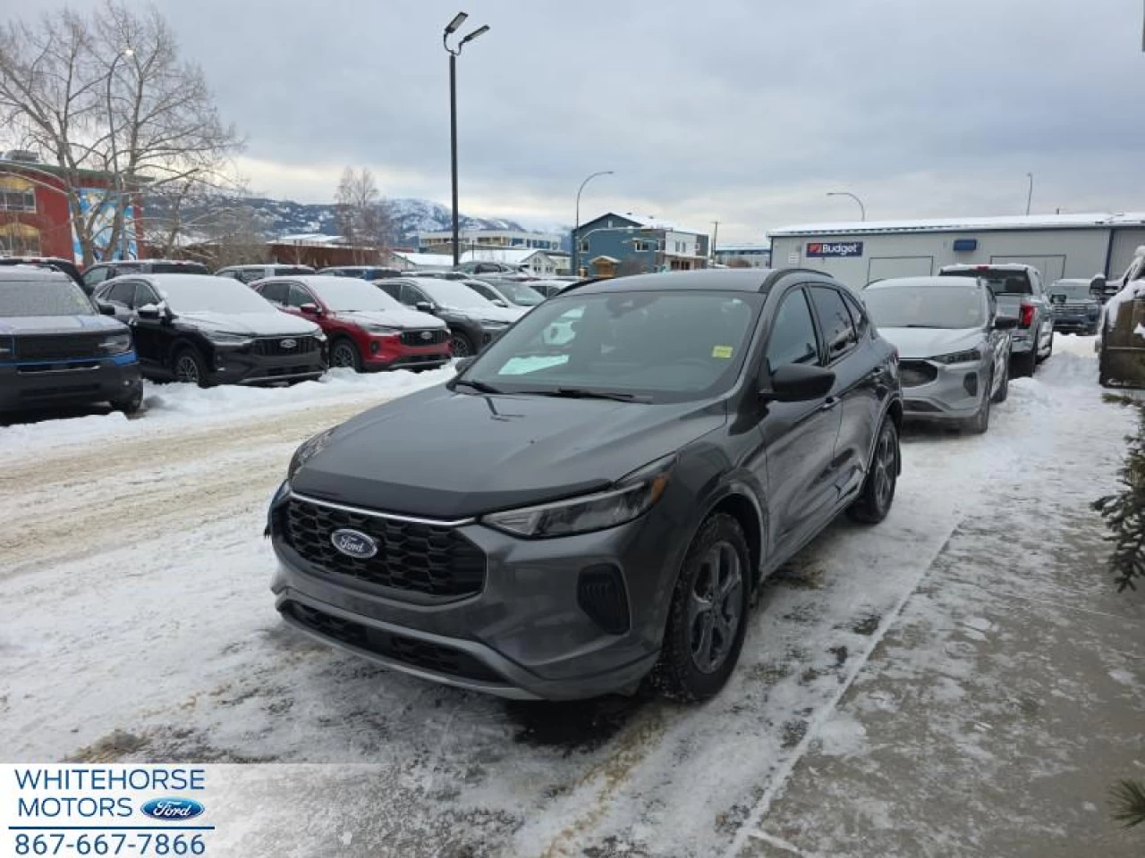 2024 Ford Escape ST-Line Main Image