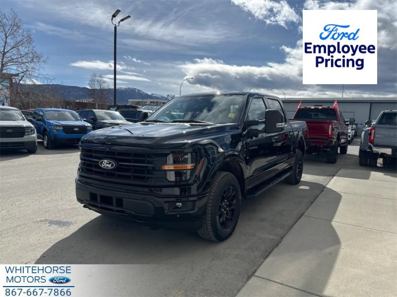 2025 Ford F-150 XLT Image principale